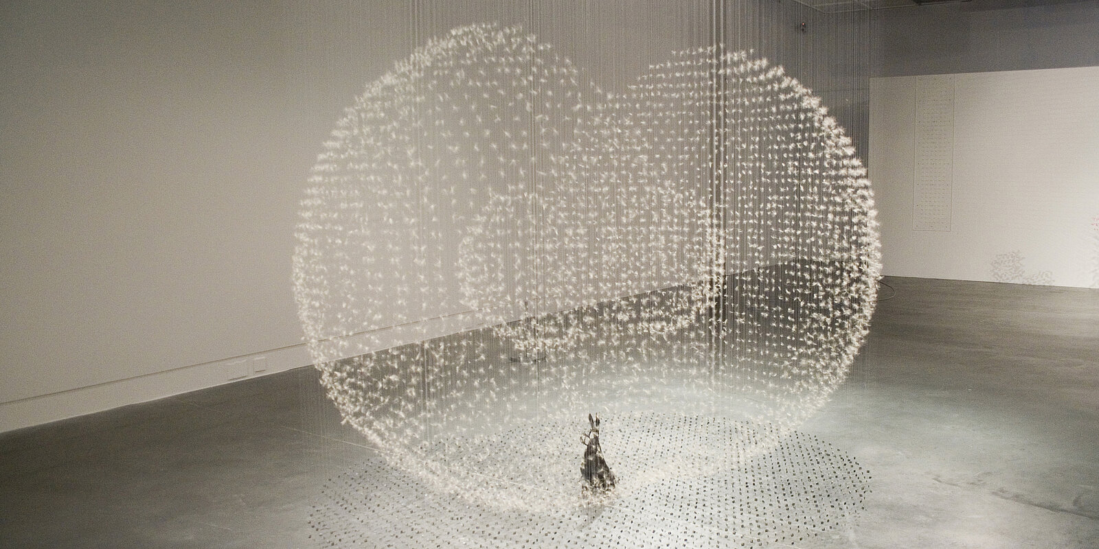 Installationsansicht Claire Morgan, Gone to Seed, 2011 