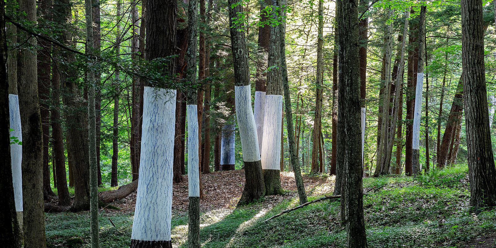 Photo: Lisa Vollmer Photo: Lisa Vollmer