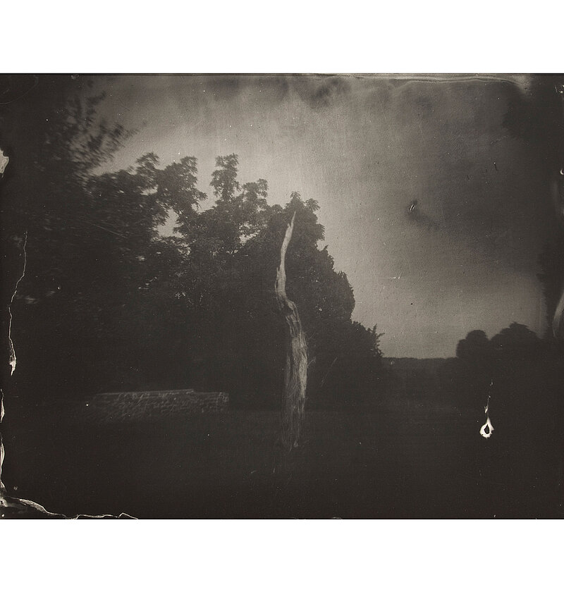 Sally Mann, Ohne Titel (Manassas #34), 2001 Sally Mann, Ohne Titel (Manassas #34), 2001